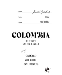 Colombia El Paseo, Gesha  - Lactic Washed