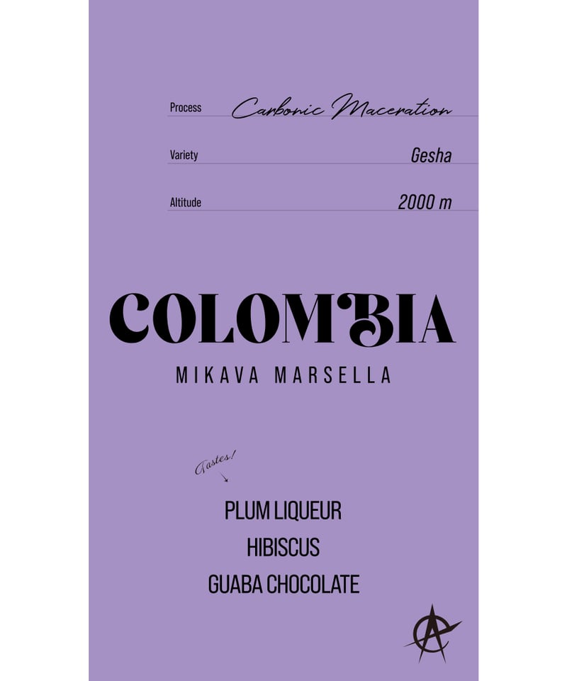 MIKAVA MARSELLA #2504 | acid coffee