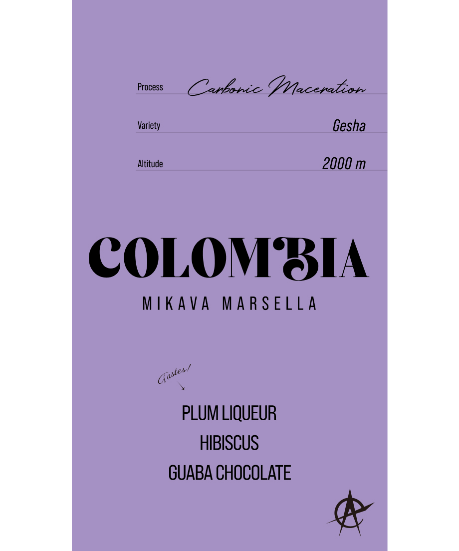 MIKAVA MARSELLA #2504 | acid coffee