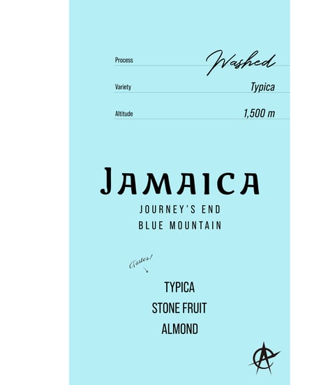 Jamaica Journey’s End Blue Mountain, Typica - Washed