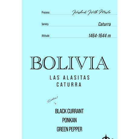 Bolivia Las Alasitas, Caturra - Washed With Mossto