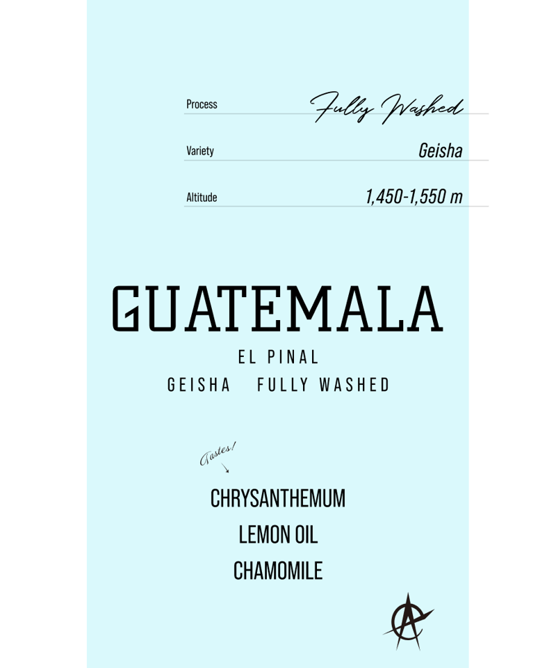 Guatemala El Pinal Geisha Washed | acid coffee
