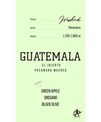 Guatemala El Injerto, Pacamara - Washed