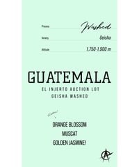 W　アウロマール　ゲイシャ Colombia La Esperanza, Geisha - Hybrid Washed |