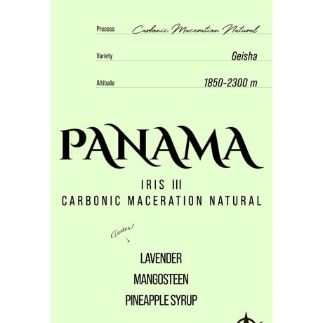 Panama Iris Ⅲ, Geisha - Carbonic Maceration Natural