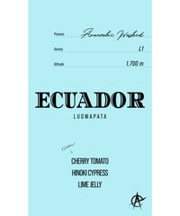 【ニュークロップ到着！】Ecuador Lugmapata, L1 - Anaerobic Washed