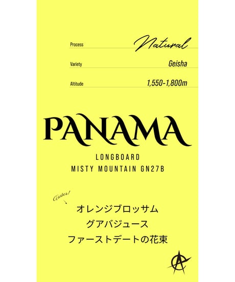 Panama Longboard Misty Mountain GN27B, Geisha - Natural