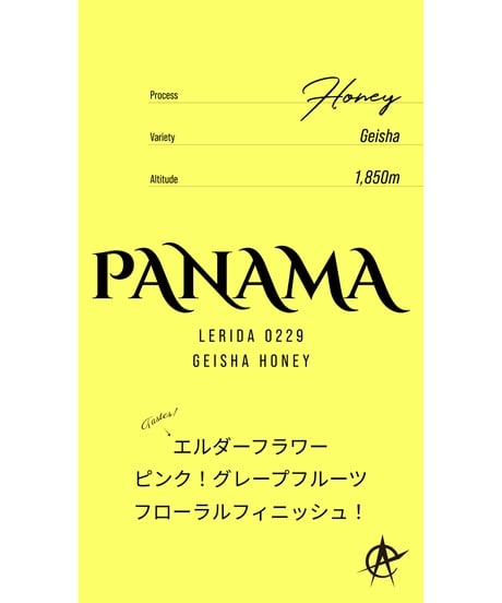 Panama Lerida Lot229, Geisha - Honey