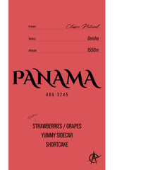 Panama ABU 3245 Geisha - Classic Natural