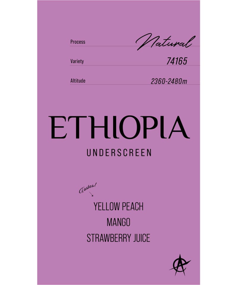 ETHIOPIA UNDERSCREEN 150g | acid coffee
