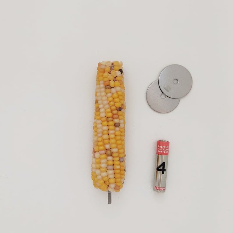 2025年小鳥インコ用 止まり木 カラフルコーンパーチ Lサイズ