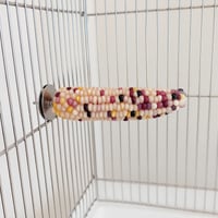 小鳥インコ用 止まり木 カラフルコーンパーチ Lサイズ バードトイ 鳥おもちゃ L004