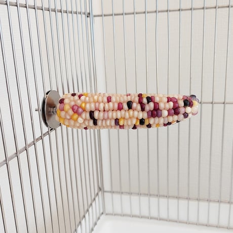 小鳥インコ用 止まり木 カラフルコーンパーチ Lサイズ バードトイ 鳥おもちゃ L004