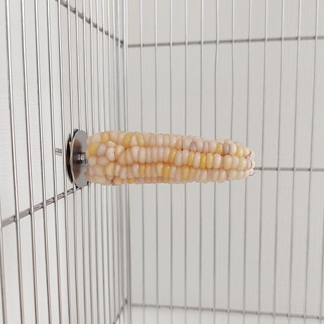 小鳥インコ用 止まり木 カラフルコーンパーチ Mサイズ バードトイ 鳥おもちゃ M040