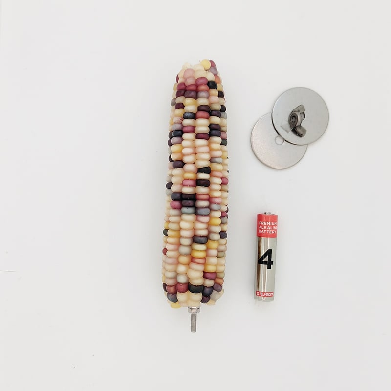 2025年小鳥インコ用 止まり木 カラフルコーンパーチ Lサイズ