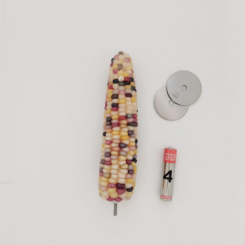 2025年小鳥インコ用 止まり木 カラフルコーンパーチ 2Lサイズ