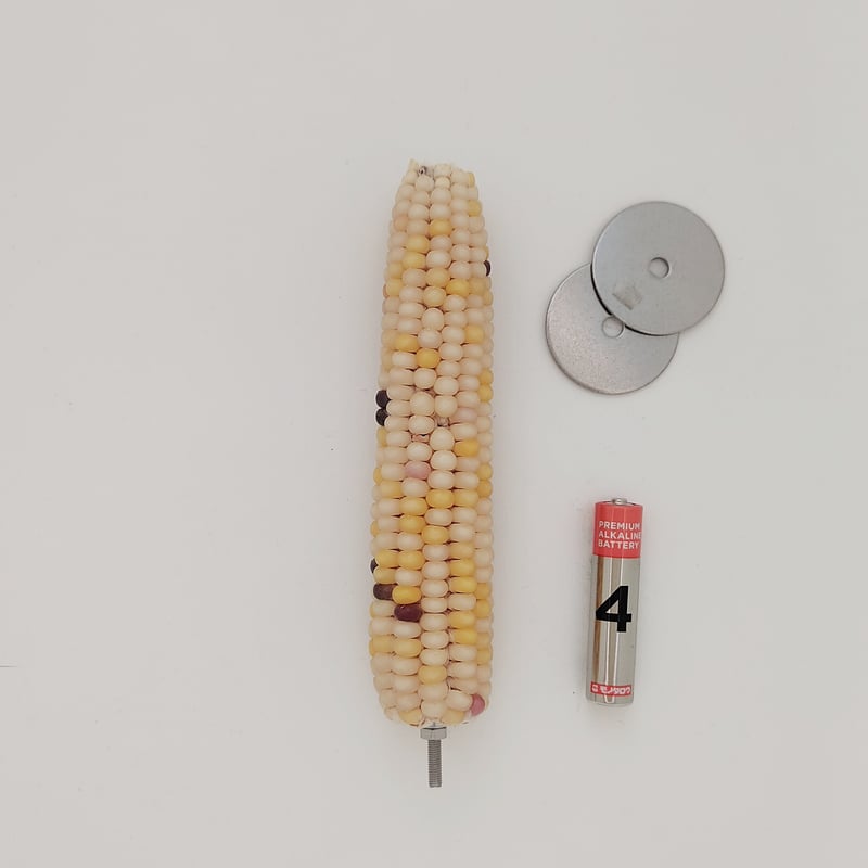 2025年小鳥インコ用 止まり木 カラフルコーンパーチ Lサイズ