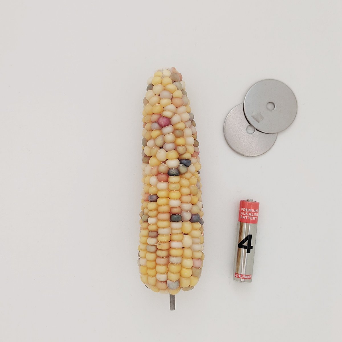 2025年小鳥インコ用 止まり木 カラフルコーンパーチ 2Lサイズ