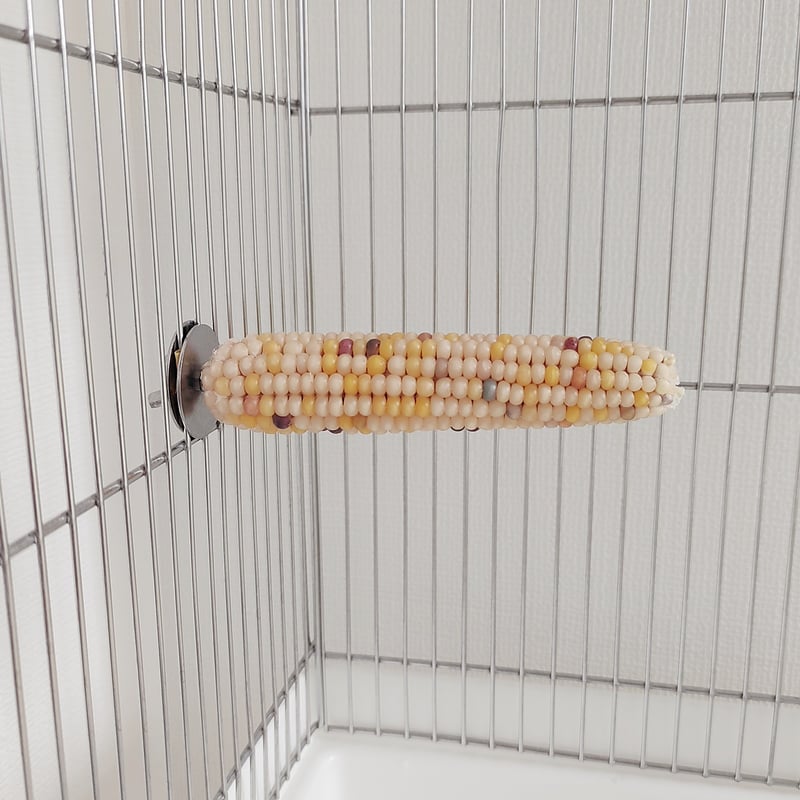 2025年小鳥インコ用 止まり木 カラフルコーンパーチ Lサイズ