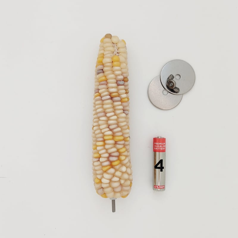 止まり木 CoCo 2025年小鳥インコ用 止まり木 カラフルコーンパーチ Lサイズ