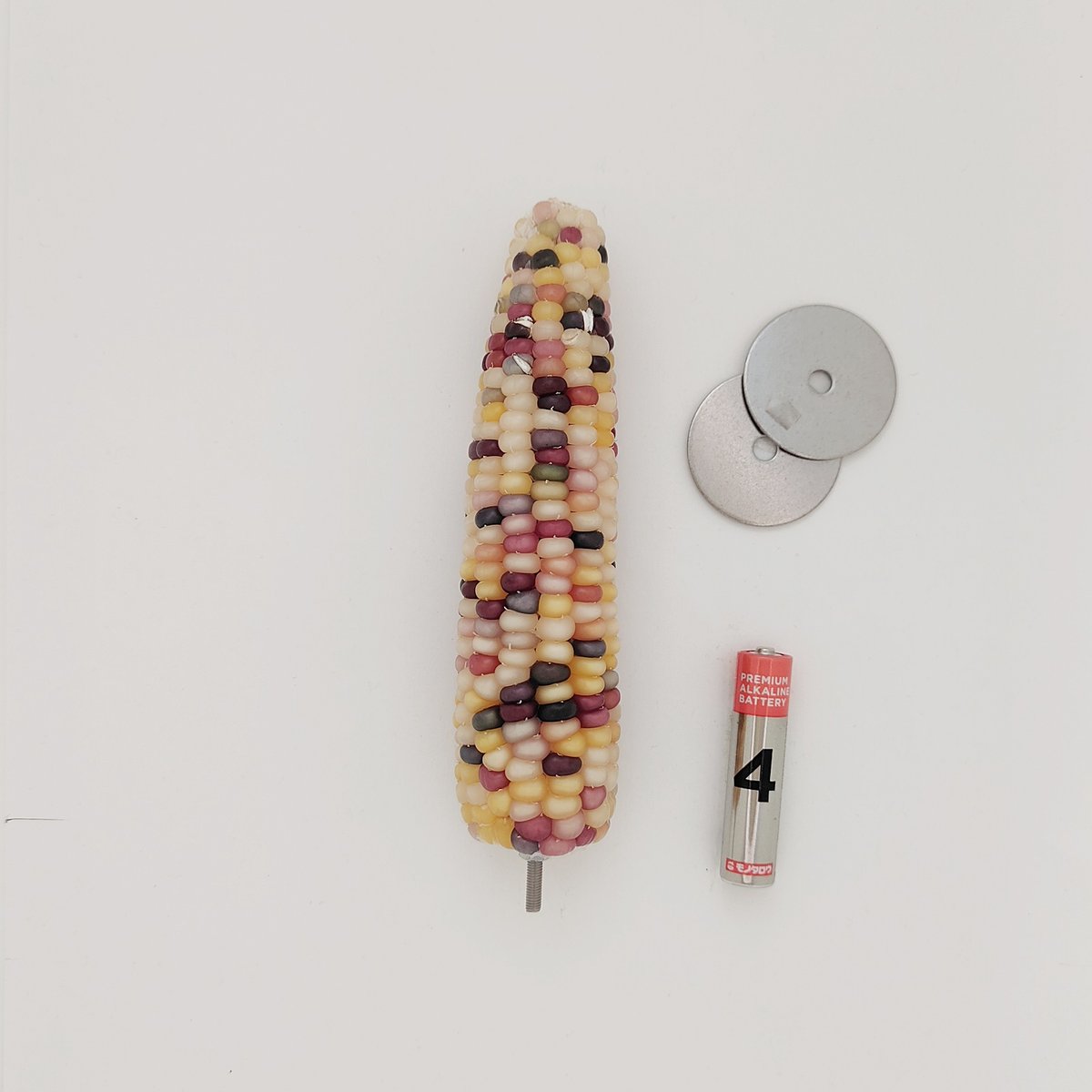 2025年小鳥インコ用 止まり木 カラフルコーンパーチ 2Lサイズ