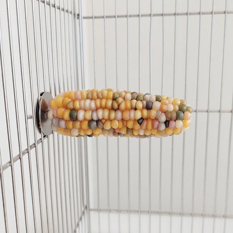 小鳥インコ用 止まり木 カラフルコーンパーチ Mサイズ バードトイ 鳥おもちゃ M014