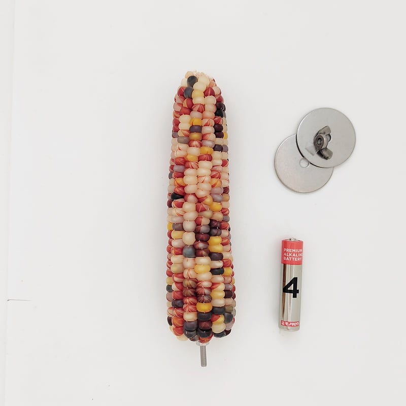 a17 粟の穂ホルダ バードトイ インコ 止まり木 Amazon | R'S MART PET