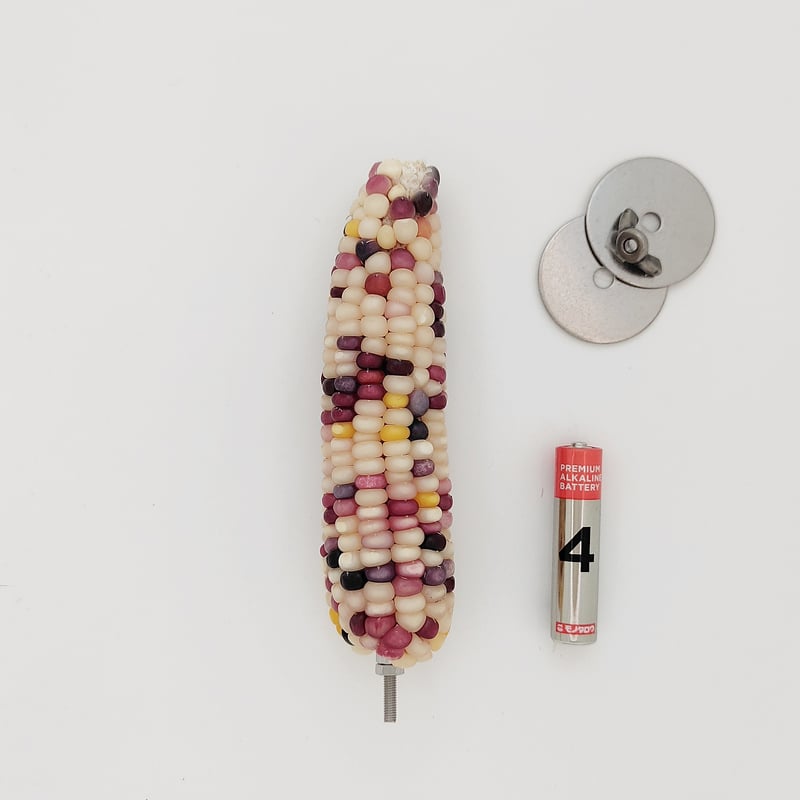 h88フォージングトイセット止まり木バードトイインコことり