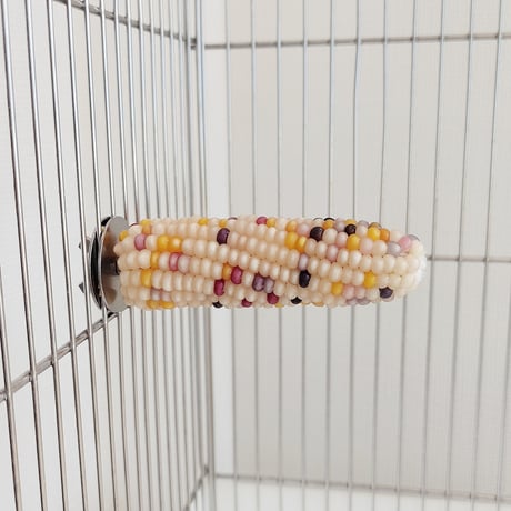 小鳥インコ用 止まり木 カラフルコーンパーチ Mサイズ バードトイ 鳥おもちゃ M010