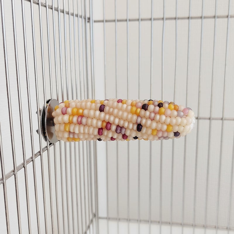 CATEGORY Mサイズ | バード ハート okinawa