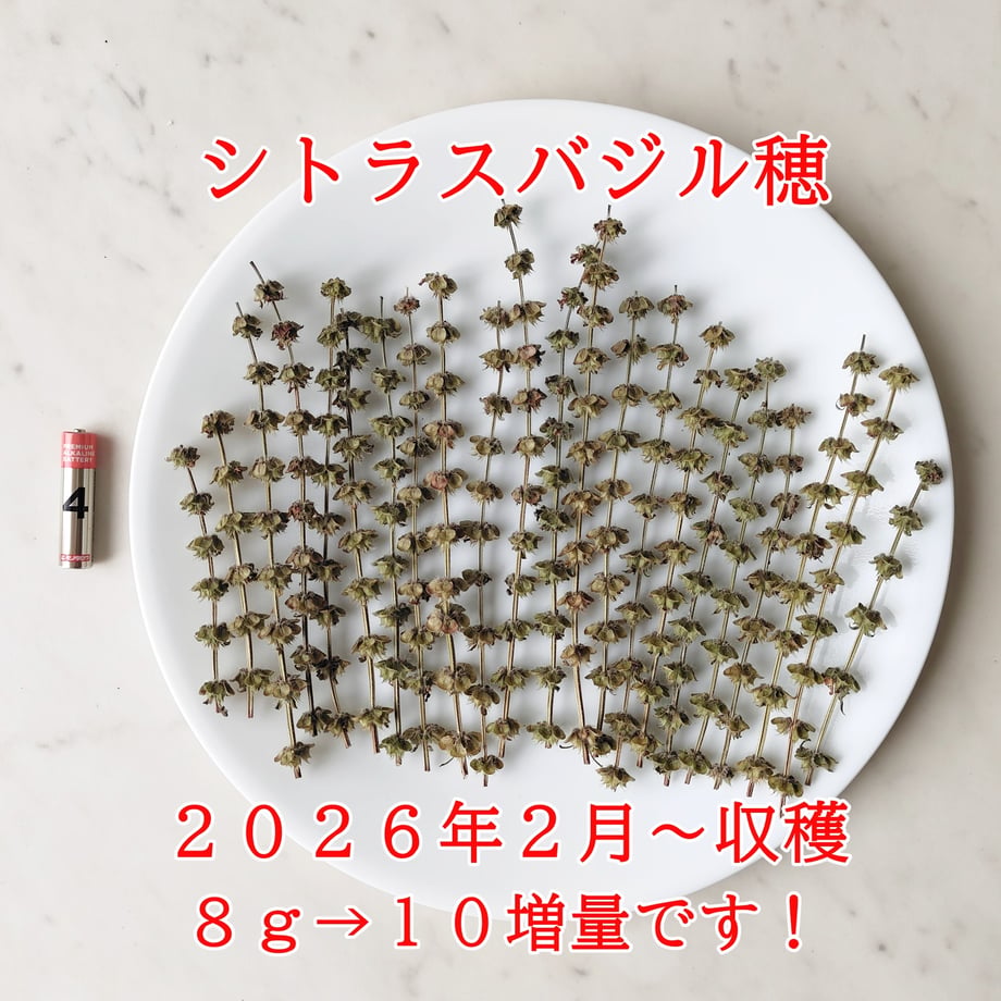 671a3b50b9d16e09d05da27e