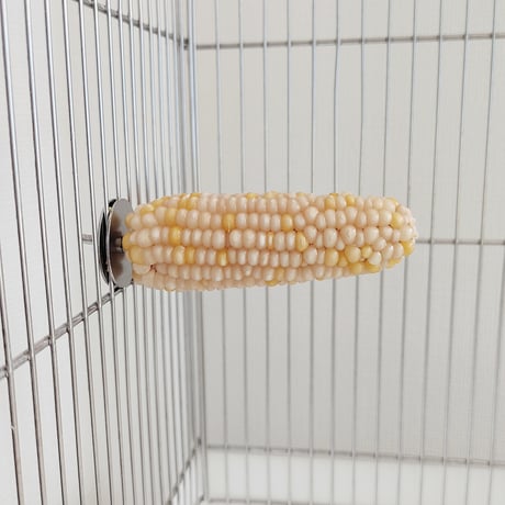 小鳥インコ用 止まり木 カラフルコーンパーチ Mサイズ バードトイ 鳥おもちゃ M007