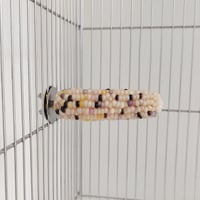 小鳥インコ用 止まり木 カラフルコーンパーチ Mサイズ バードトイ 鳥おもちゃ M027