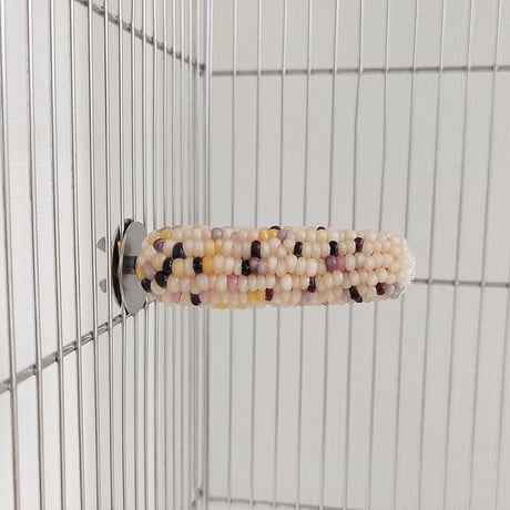 小鳥インコ用 止まり木 カラフルコーンパーチ Mサイズ バードトイ 鳥おもちゃ M027