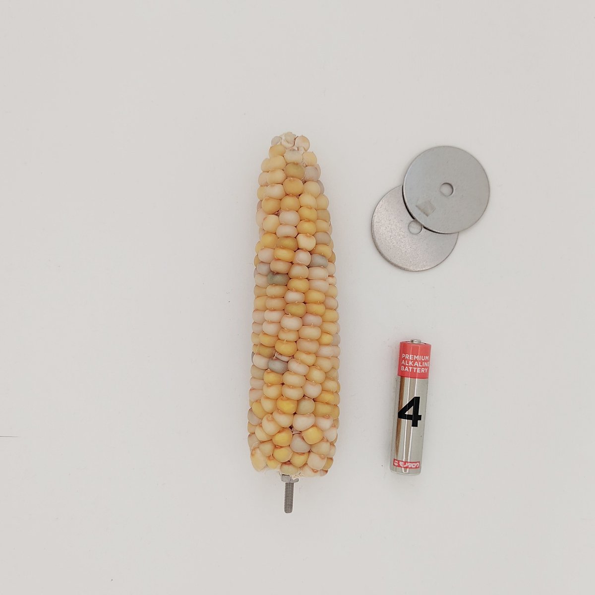 止まり木 Yki24 止まり木 Yki24 1mプラスチック止まり木 ｜商品紹介