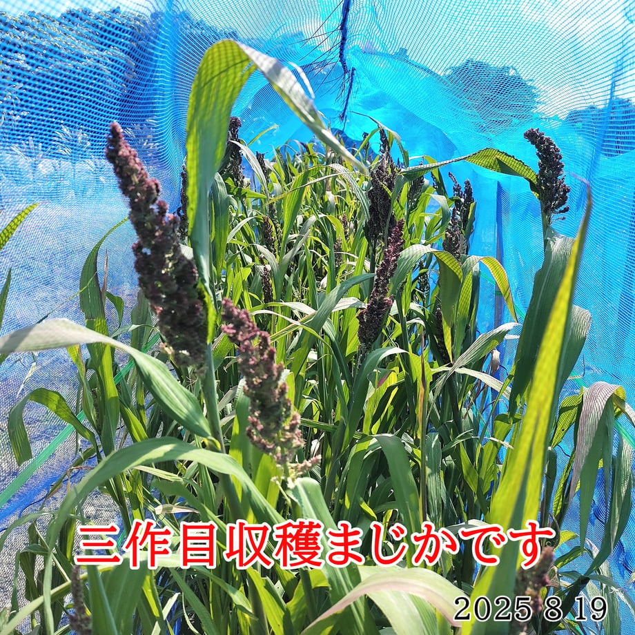 61f4f6cec15c5a6a5f465a1c