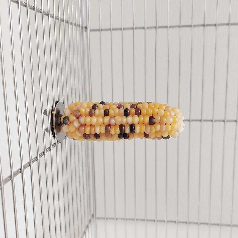 CATEGORY Mサイズ | バード ハート okinawa