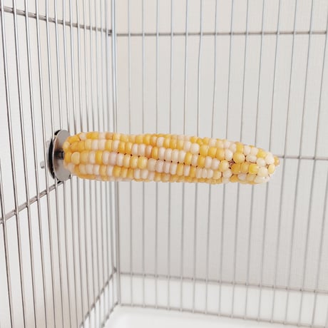 小鳥インコ用 止まり木 カラフルコーンパーチ Lサイズ バードトイ 鳥おもちゃ L020