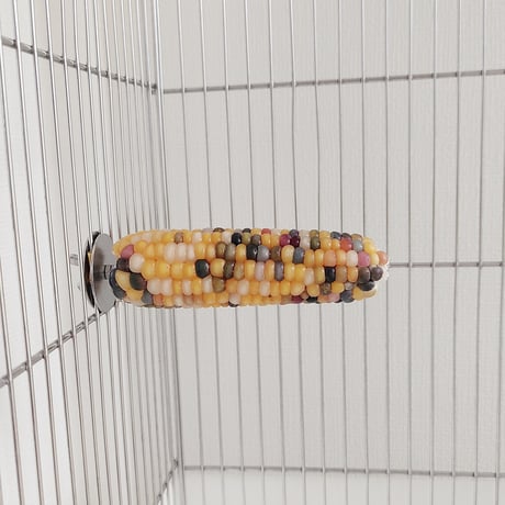 小鳥インコ用 止まり木 カラフルコーンパーチ Mサイズ バードトイ 鳥おもちゃ M036