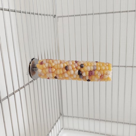 小鳥インコ用 止まり木 カラフルコーンパーチ Lサイズ バードトイ 鳥おもちゃ L030