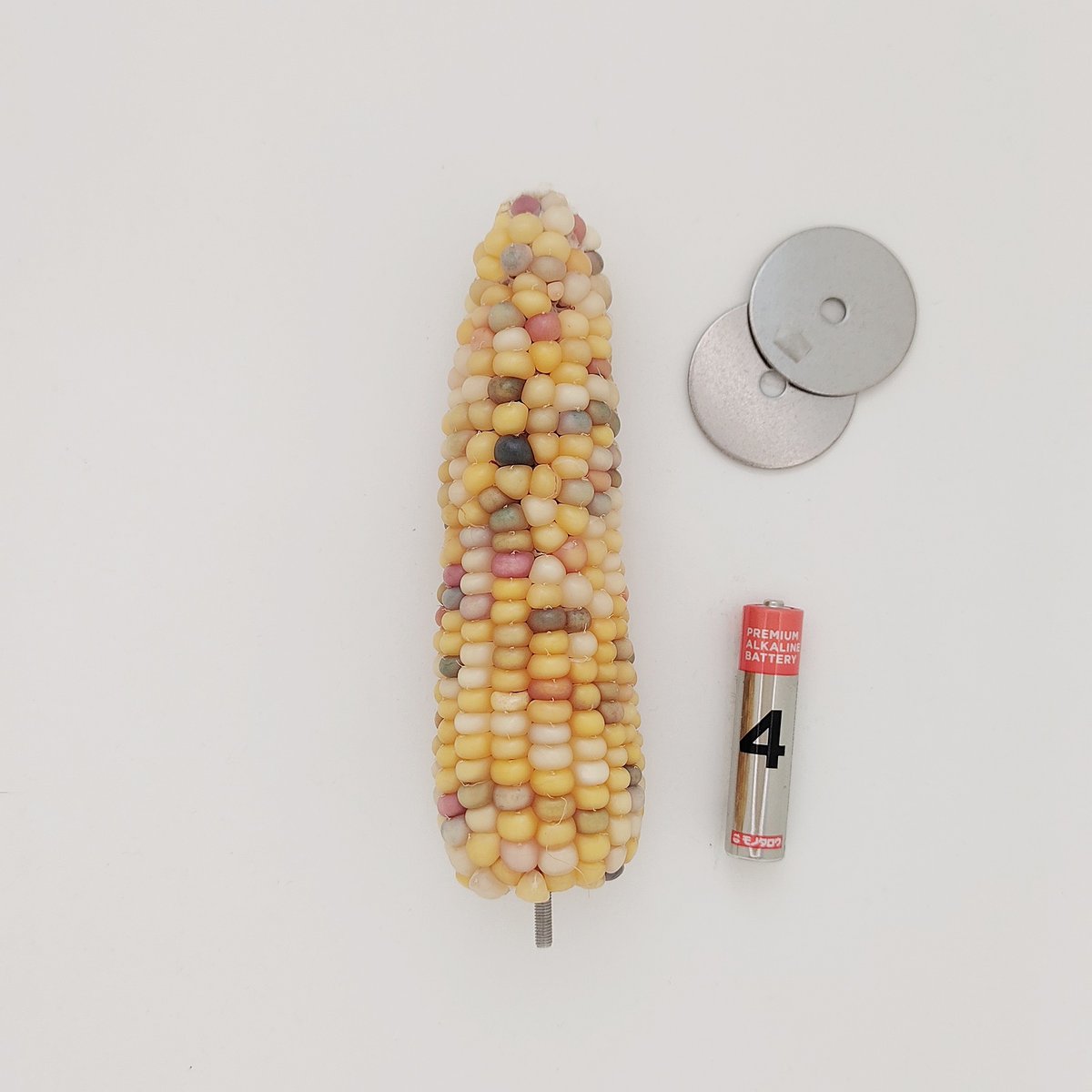 2025年小鳥インコ用 止まり木 カラフルコーンパーチ 2Lサイズ