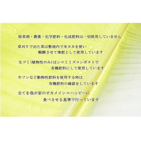 2025年 ヒエの穂40g