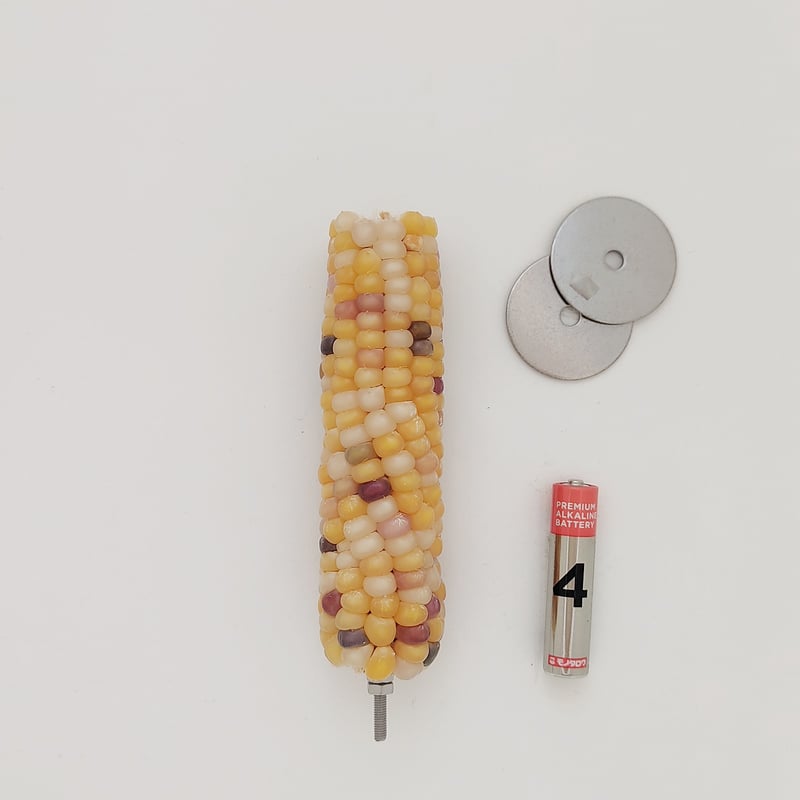 2025年小鳥インコ用 止まり木 カラフルコーンパーチ Lサイズ