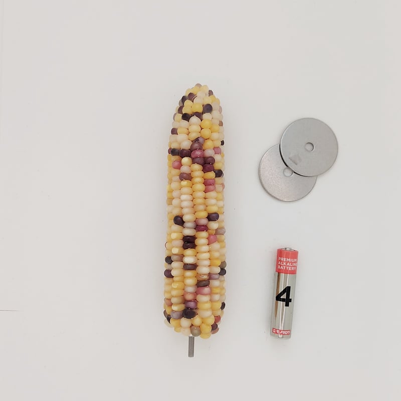 2025年小鳥インコ用 止まり木 カラフルコーンパーチ 2Lサイズ