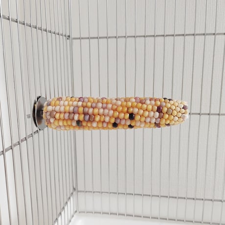 小鳥インコ用 止まり木 カラフルコーンパーチ 2Lサイズ バードトイ 鳥おもちゃ 2L037