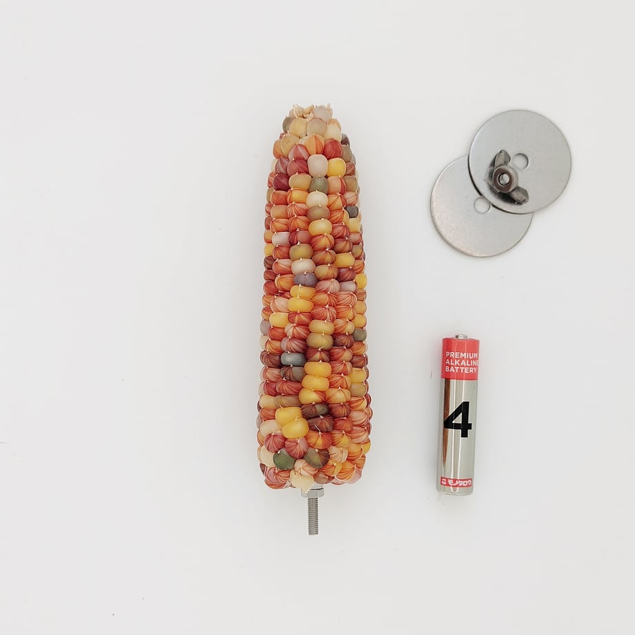 689d4788921a707a0e506e6a