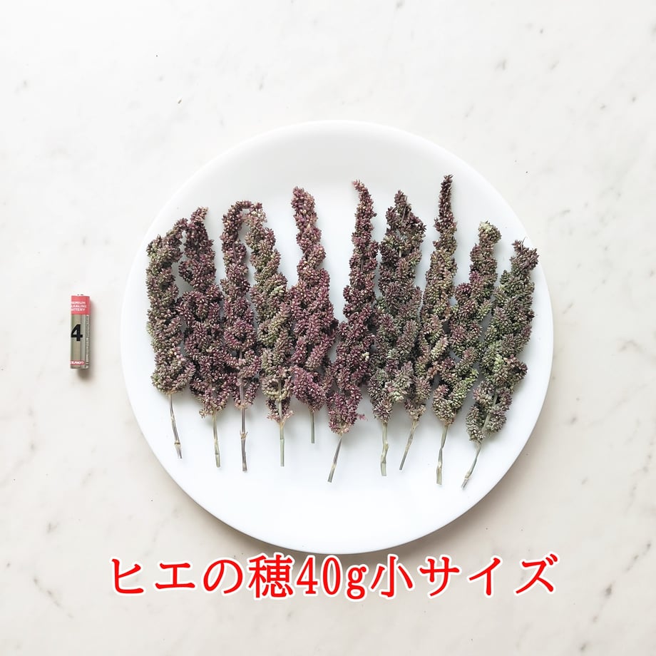 61f4f6cec15c5a6a5f465a1c