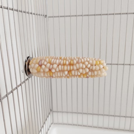 小鳥インコ用 止まり木 カラフルコーンパーチ Lサイズ バードトイ 鳥おもちゃ L032