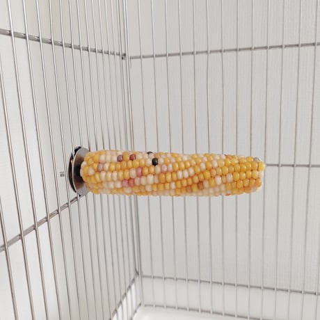 小鳥インコ用 止まり木 カラフルコーンパーチ Lサイズ バードトイ 鳥おもちゃ L028