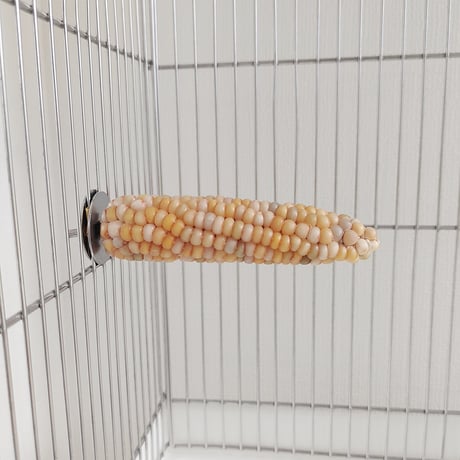 小鳥インコ用 止まり木 カラフルコーンパーチ Lサイズ バードトイ 鳥おもちゃ L026